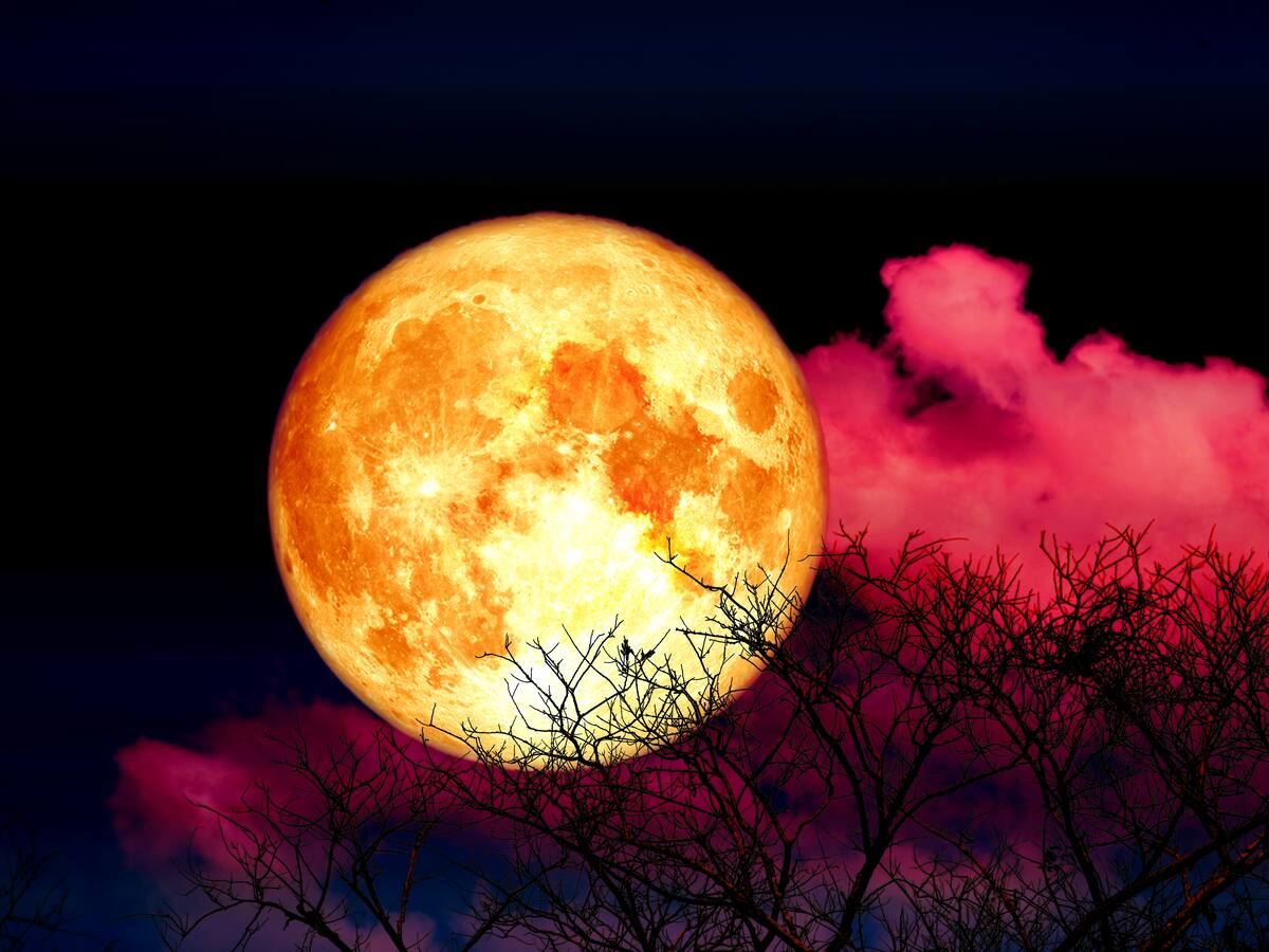 Luna llena de Flores HOY: rituales para atraer éxito a su vida y conseguir el amor