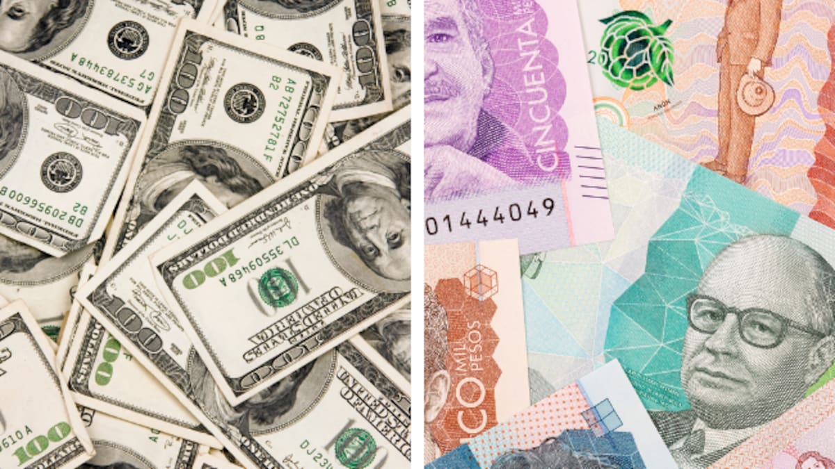 El precio del dólar dependerá de las elecciones 2026 y de quién sea presidente: CEO Lumen Economic