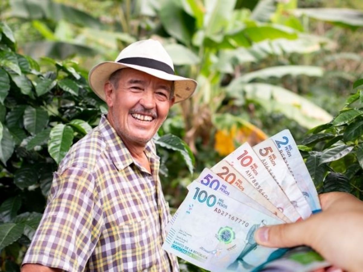 Pensionados que recibirán una mesada extra en junio 2025: Plazos, montos y últimos detalles