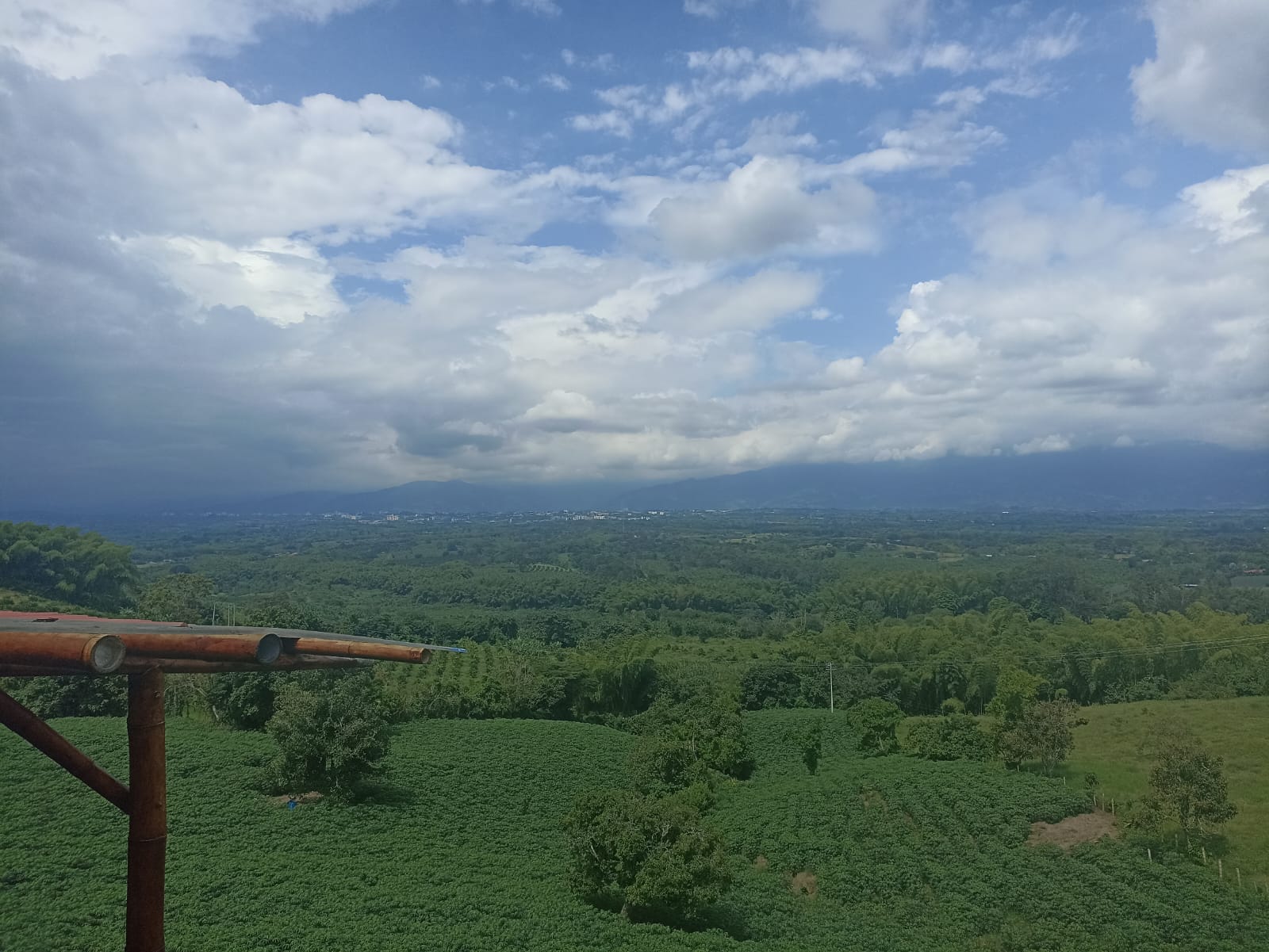 Día mundial del medio ambiente, los hermosos paisajes del Quindío. Foto: Adrián Trejos