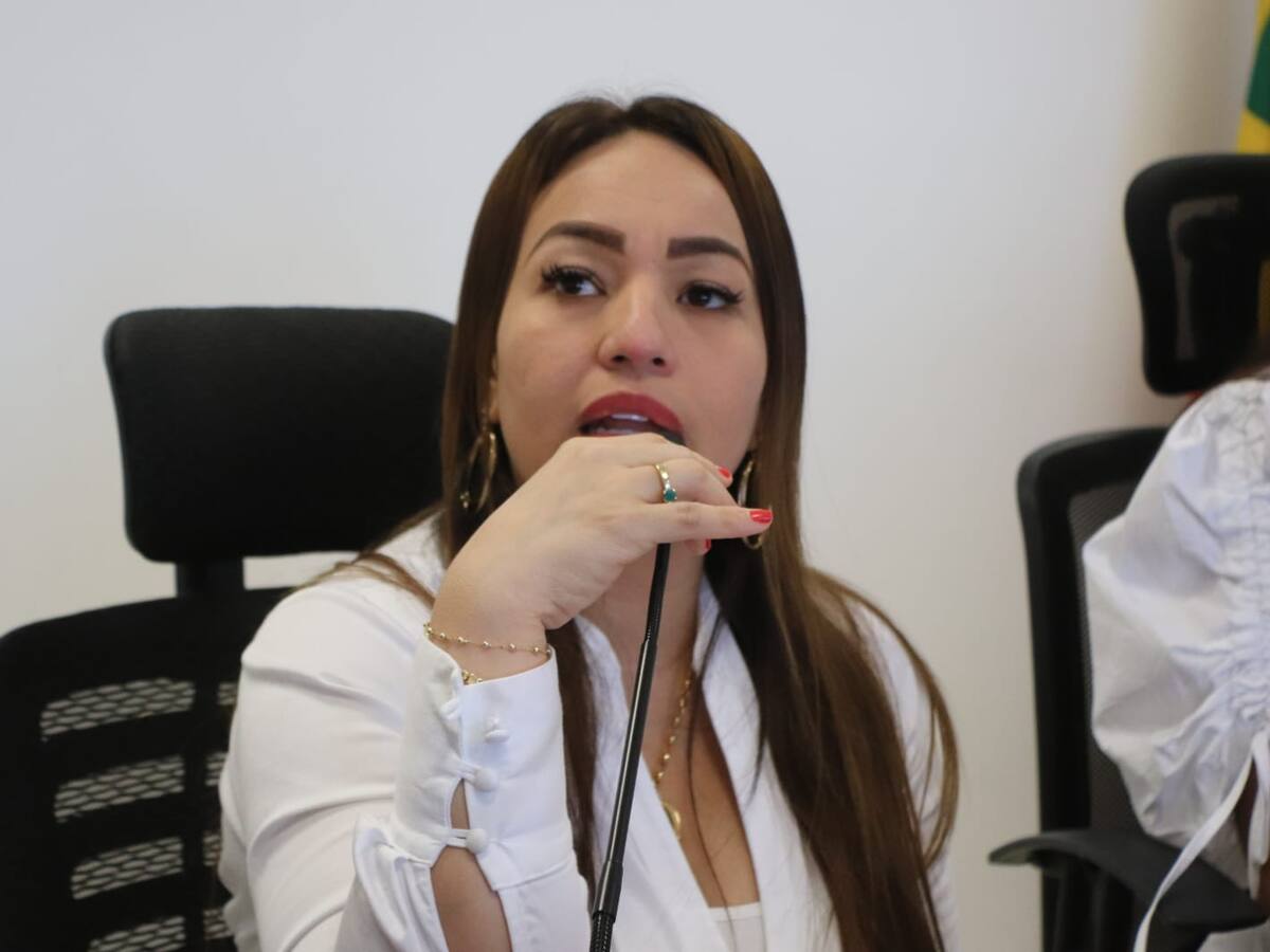 Concejo de Cartagena estudiará tres proyectos en la prolongación de las extras