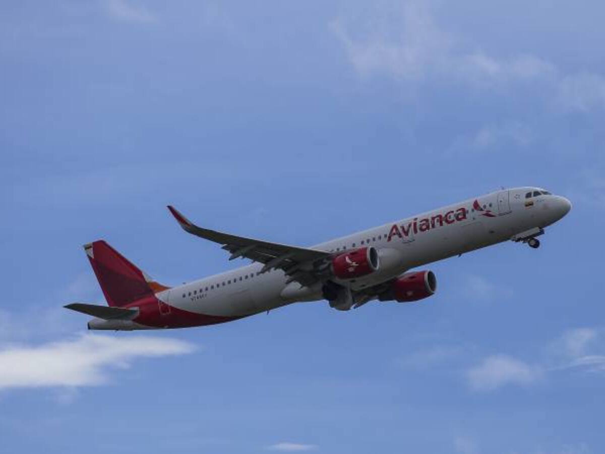 Avianca responde molestia de pasajero por menú vegetariano