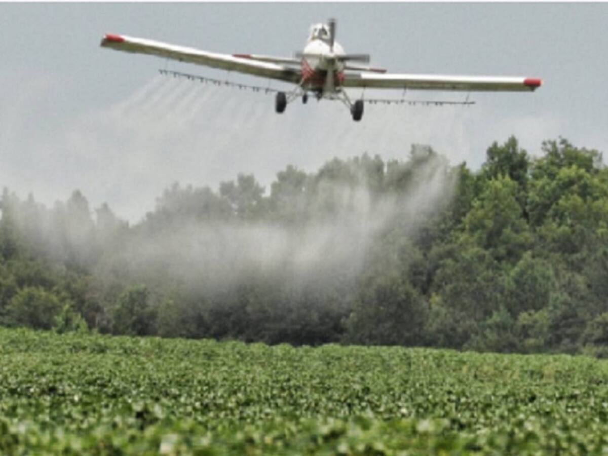Efectos de posible fumigación con glifosato podría afectar a Venezuela
