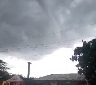 Tromba marina. Foto: cortesía.