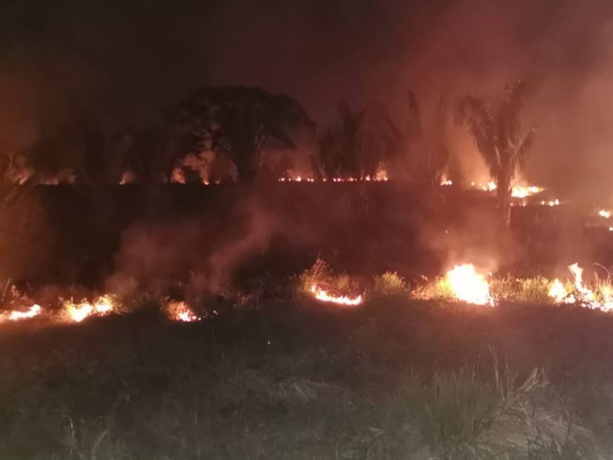 Ideam emite alerta roja por incendios forestales en el Magdalena