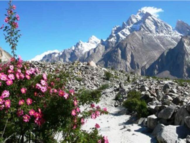 Las 117 cumbres más altas de los Andes