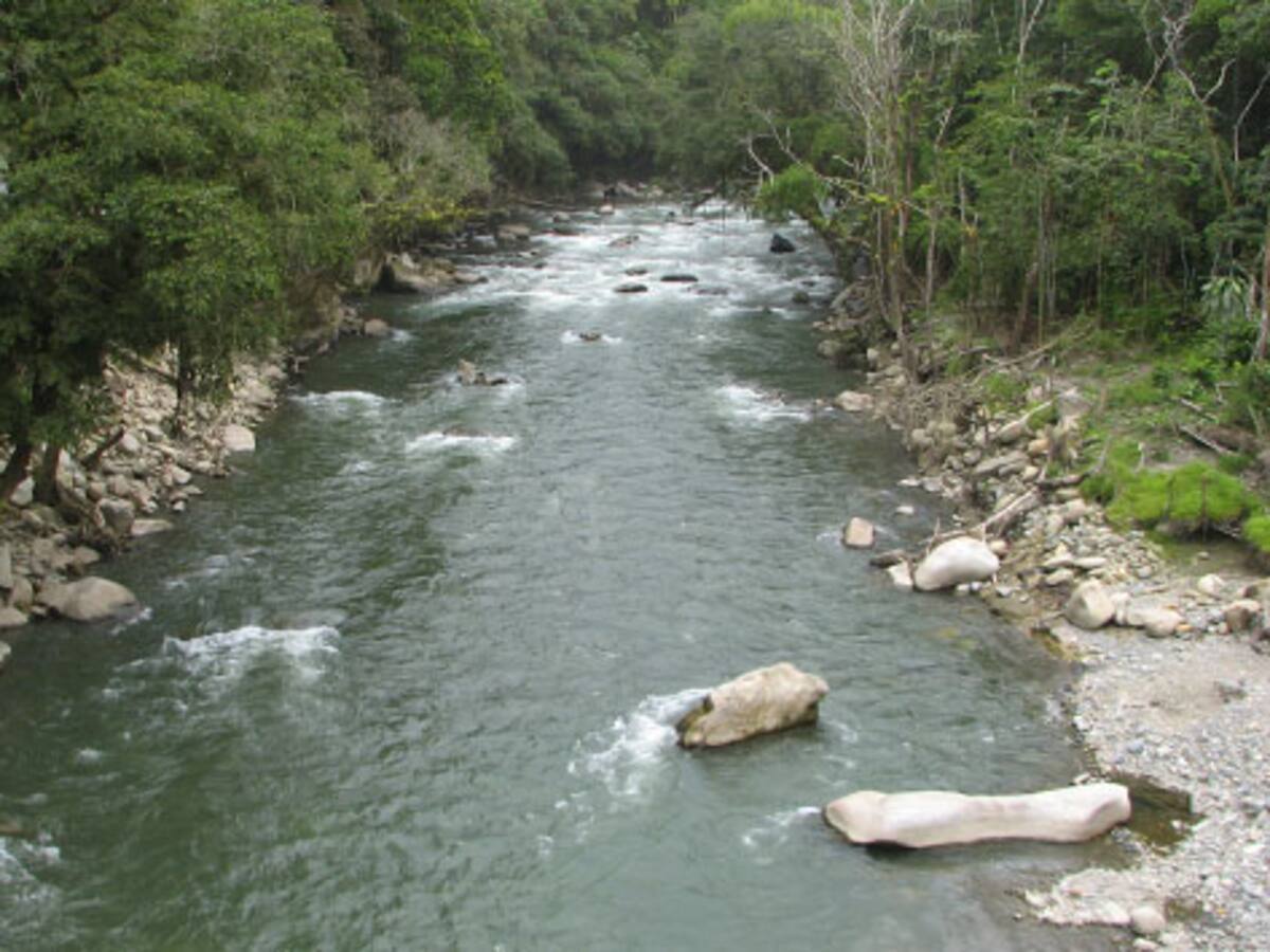El proyecto Miel II se quedó sin licencia ambiental