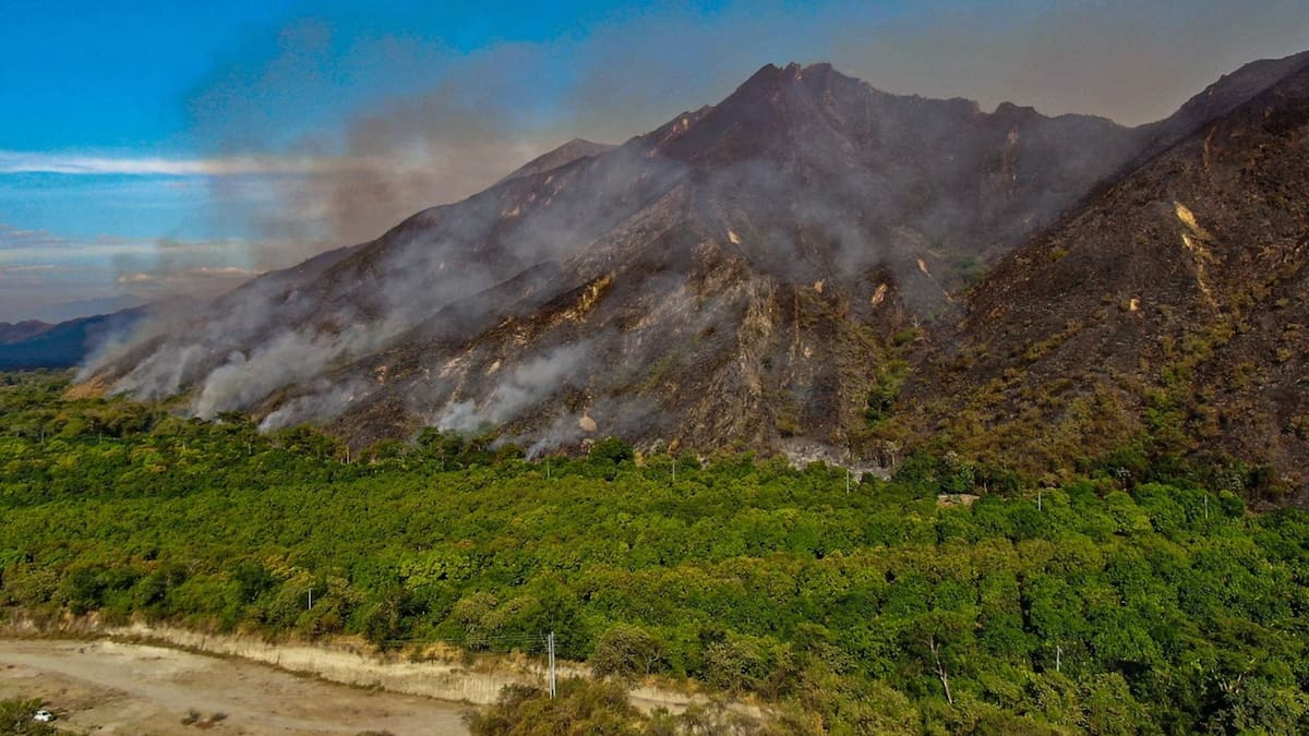 El Tolima vive una tragedia ambiental: incendios forestales han arrasado más de 22 mil hectáreas