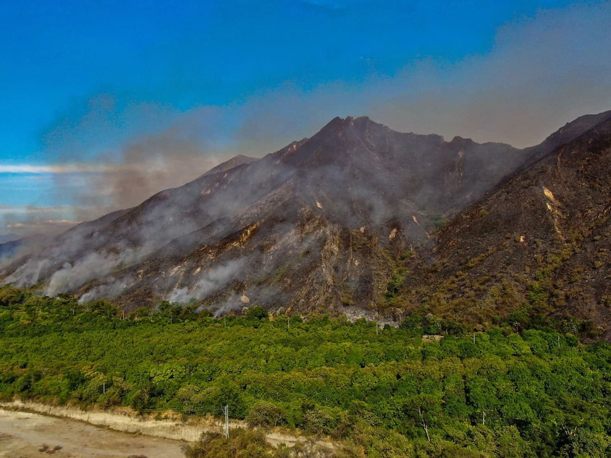 Es una tragedia ambiental, económica y social: alcalde de Ortega, Tolima, sobre incendios forestales