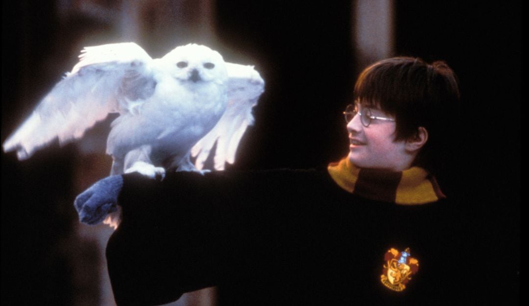 El actor Daniel Radcliffe durante el rodaje de 'Harry Potter y la Piedra Filosofal'