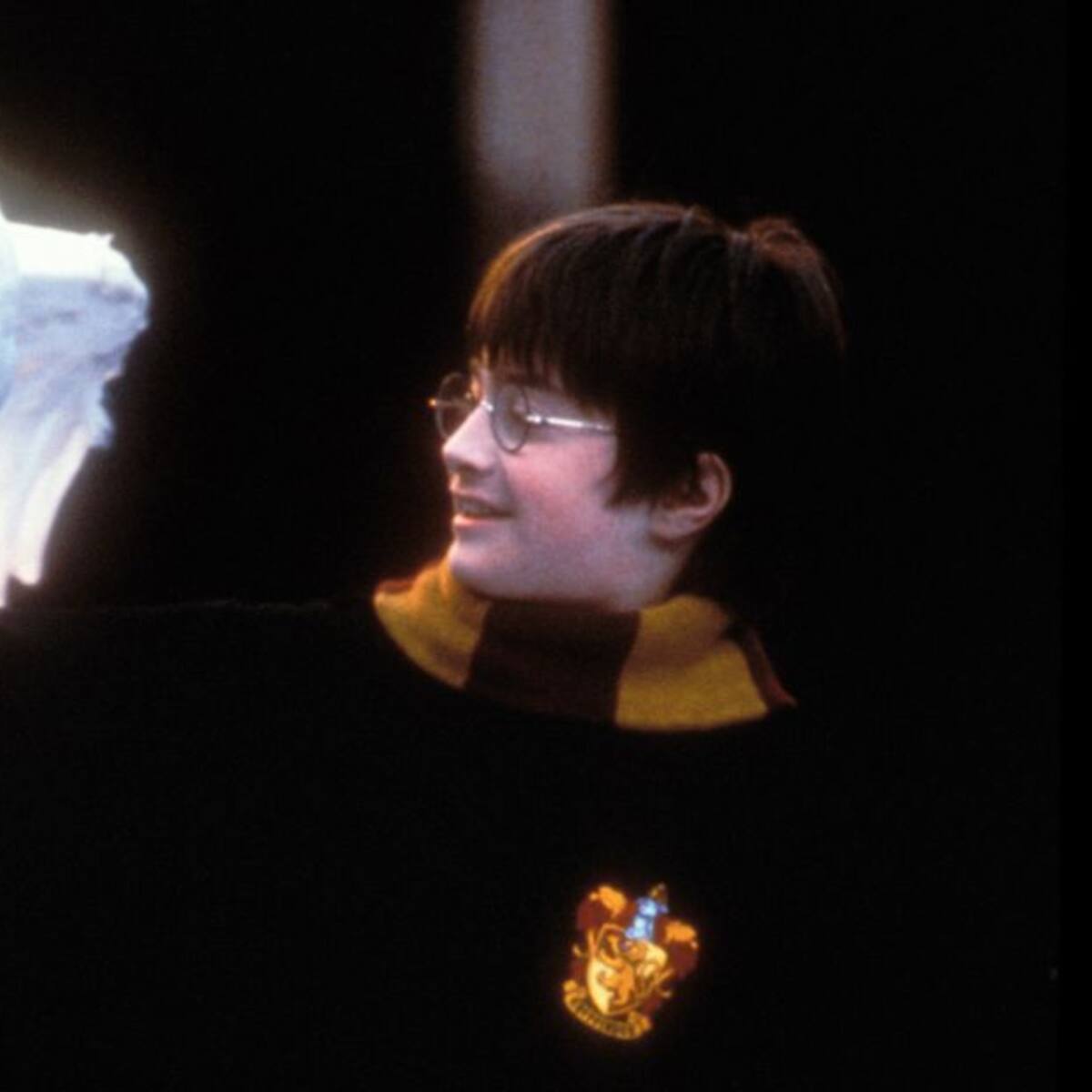 La película ‘Harry Potter y la piedra filosofal’ festeja 25 años con una celebración global