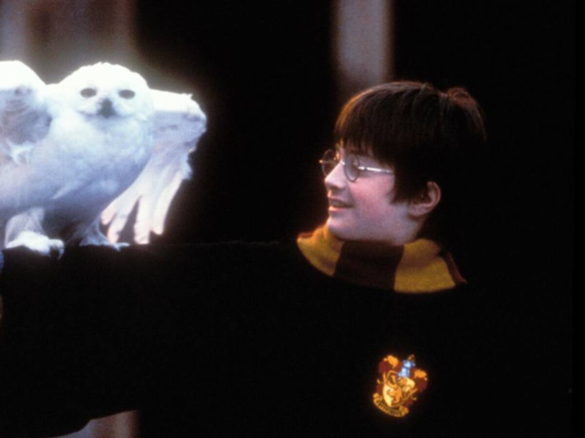 Harry Potter: HBO Max trabaja en una serie para expandir el mundo mágico