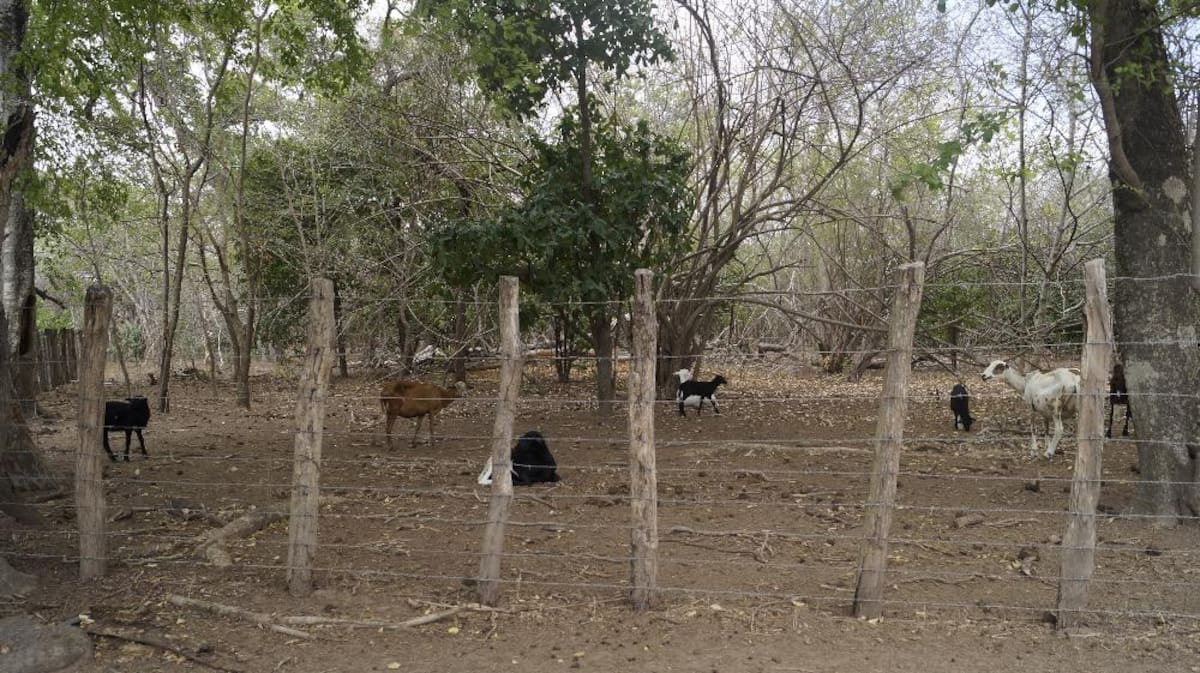 Recorrido de Caracol Radio por las zonas que aguantan sed. Fotos de Luis Enrique Rodríguez