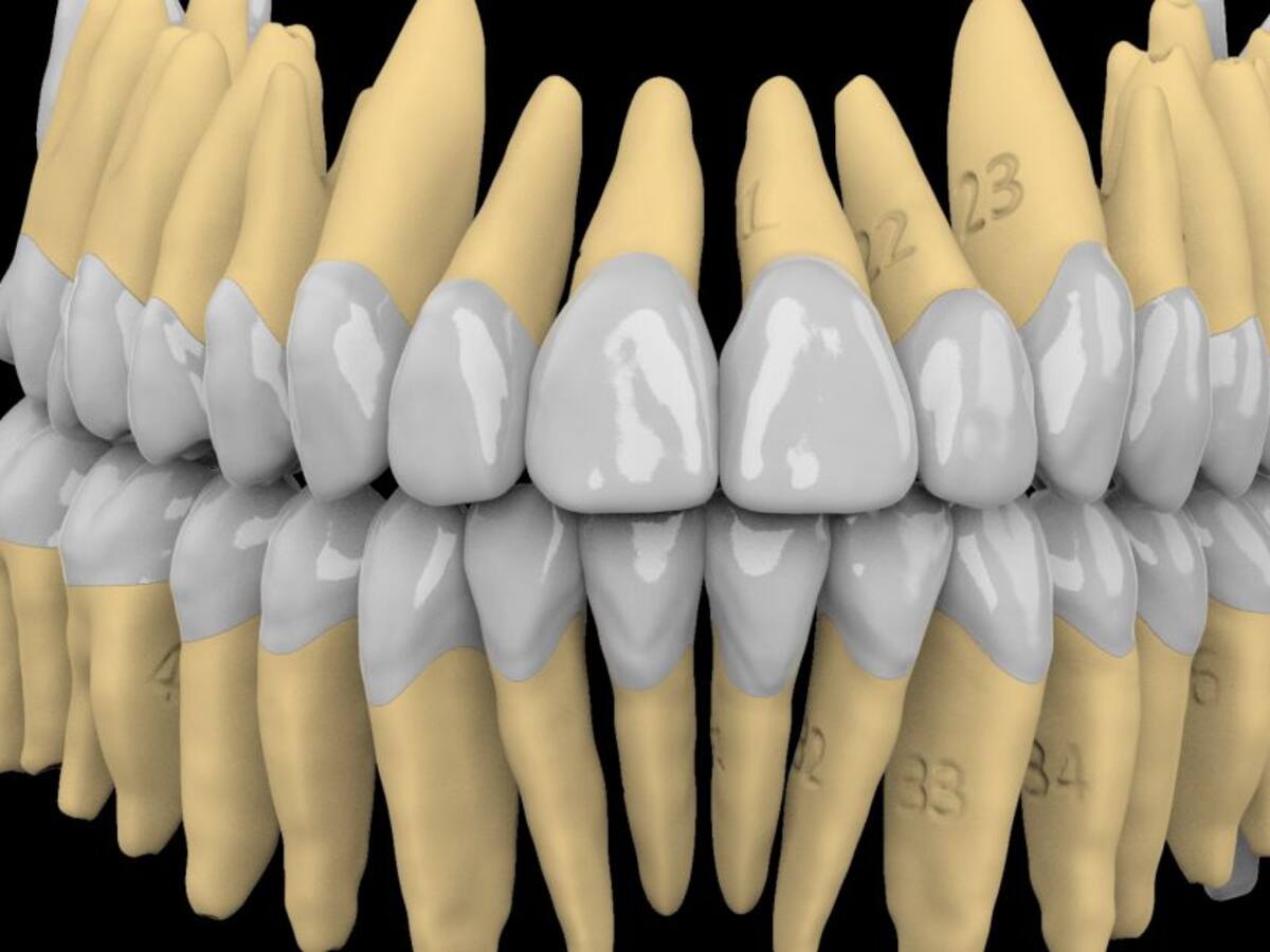 Desde Medellín exportan dientes al Perú