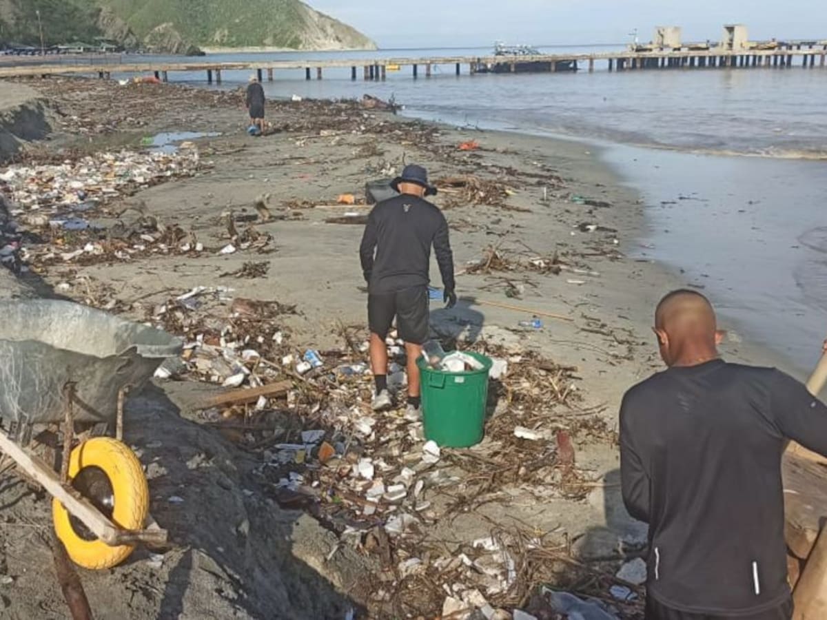 En playas de Santa Marta recolectan 12 toneladas de residuos