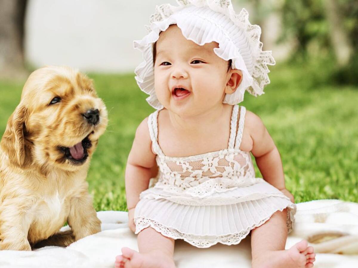 Terapia asistida con mascotas