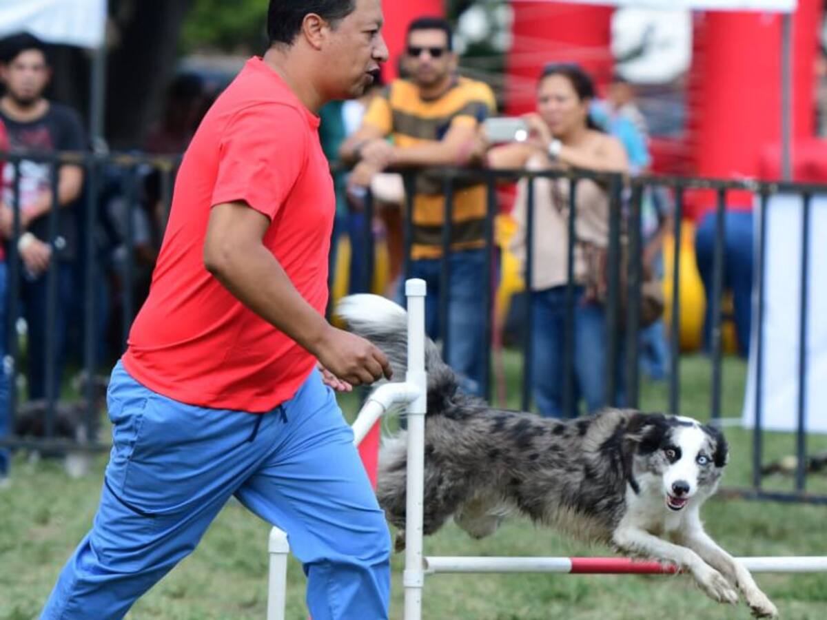 En fotos: Festival de las mascotas