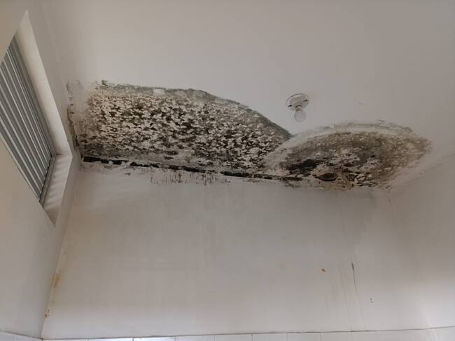 Informe colegio del Quindío