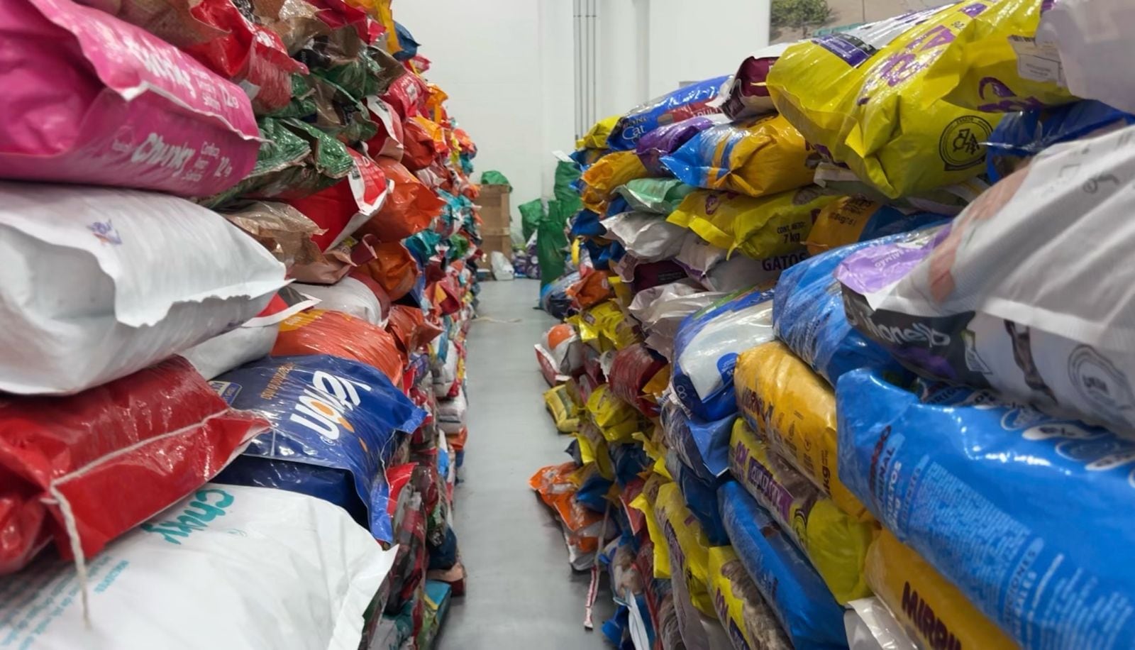Llegan cerca de 14 toneladas de alimento para animales afectados por las inundaciones en Córdoba. Foto: UNGRD.