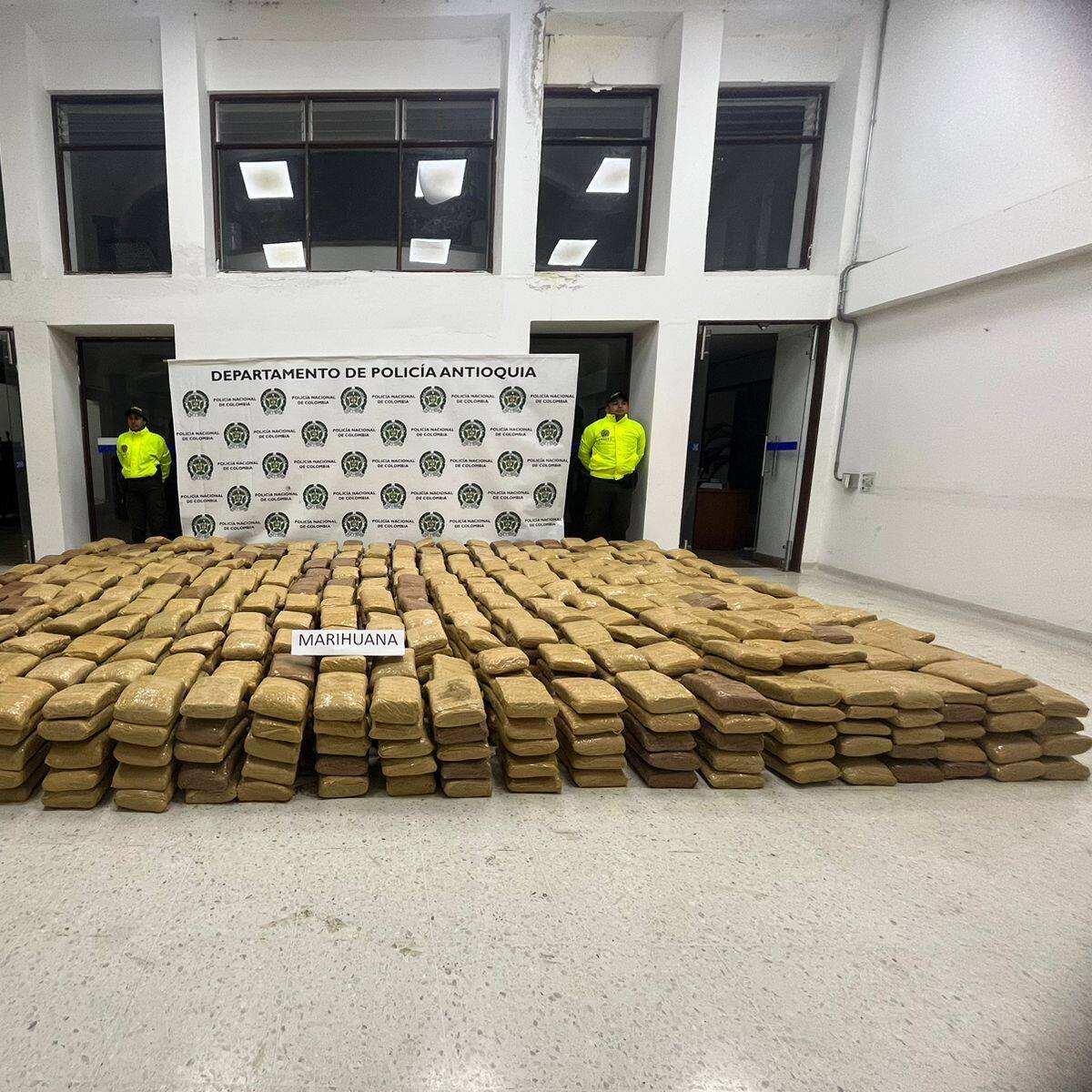 Policía incautó 1.5 toneladas de marihuana en el Suroeste de Antioquia