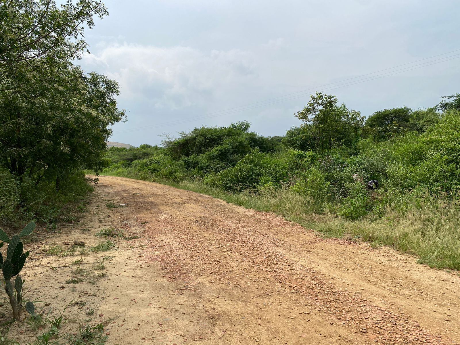 Hombre de la tercera edad fue atacado con arma cortopunzante en una zona boscosa de Cúcuta