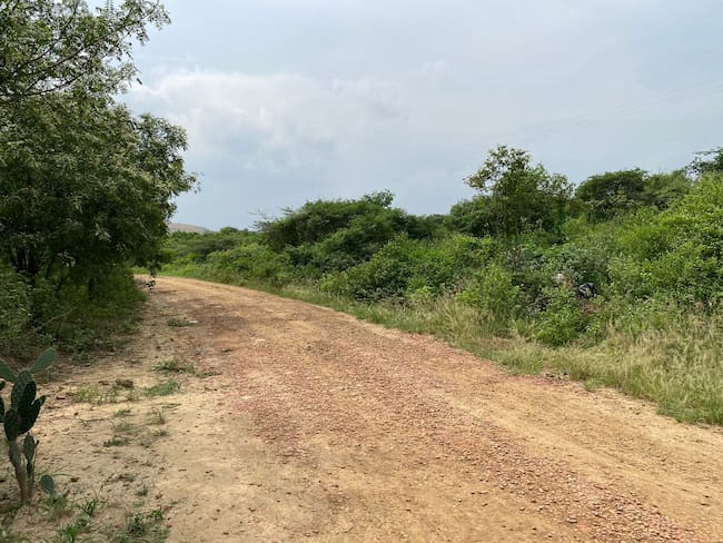 Hombre de la tercera edad fue atacado con arma cortopunzante en una zona boscosa de Cúcuta