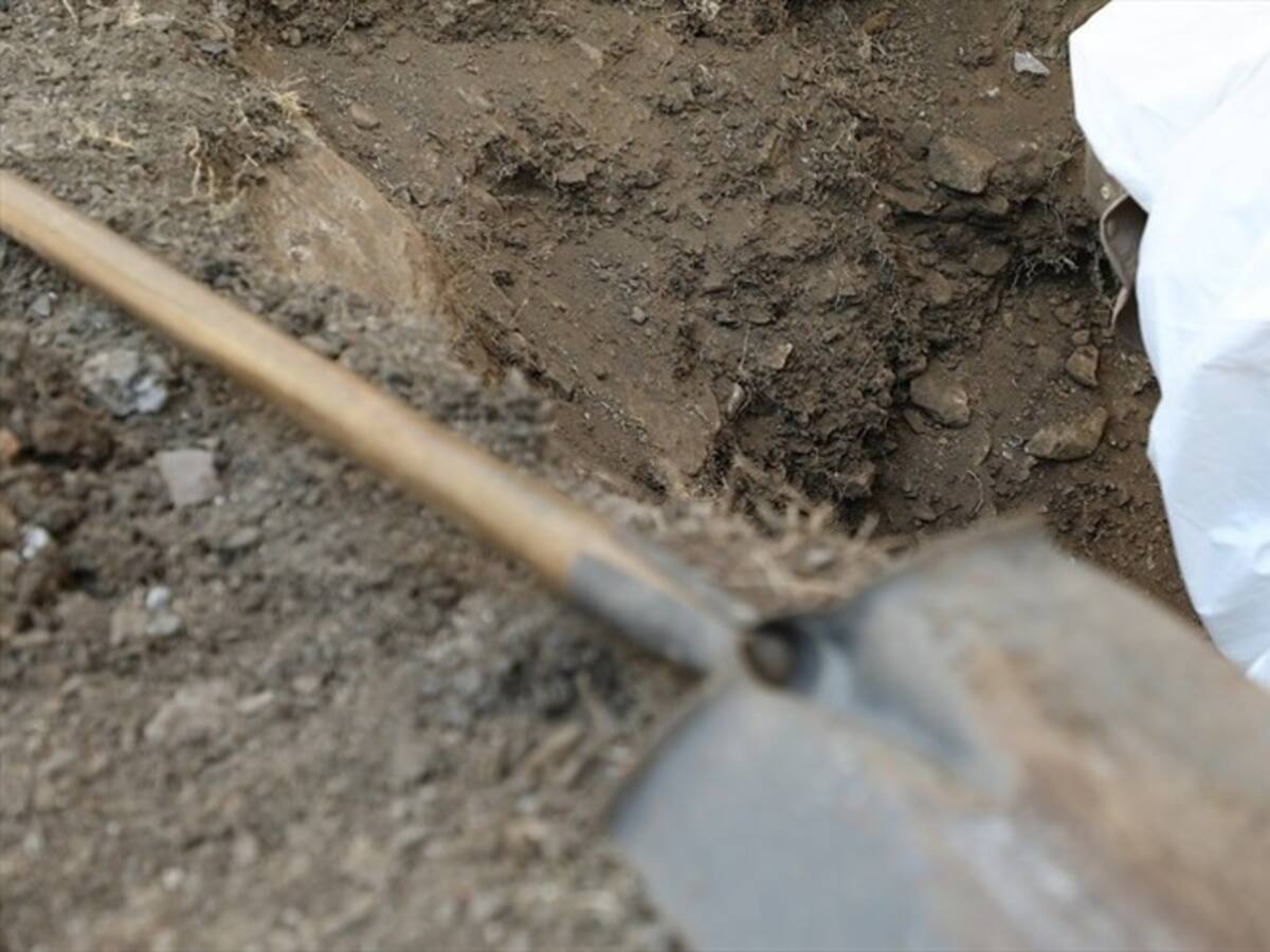 Choque entre la JEP y la Alcaldía de El Copey por fosa común