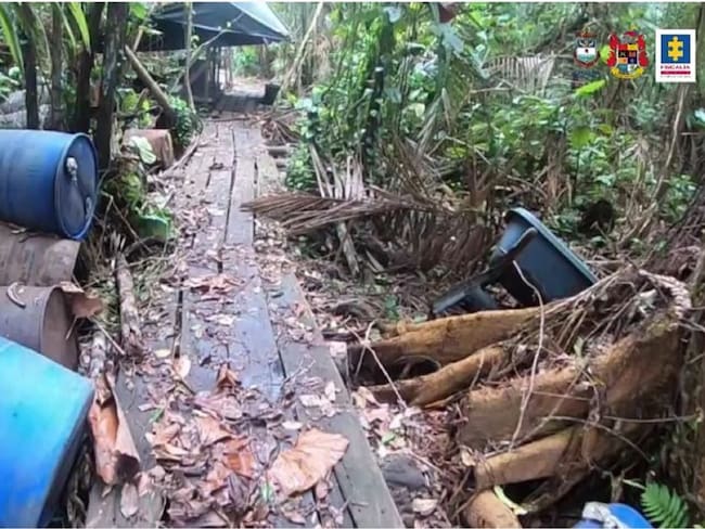 Destruyen complejo narcotraficante de disidencias Farc en reserva forestal, en Nariño