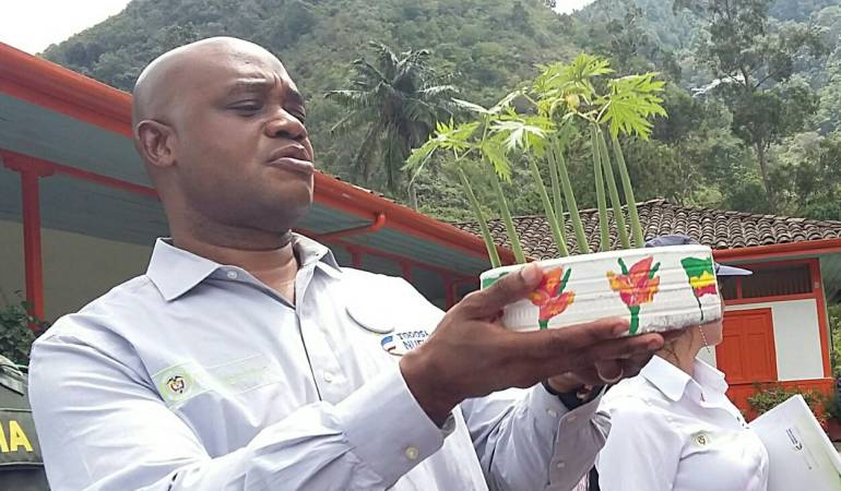 Algunas de ecosistemas de conservación están cerca de las zonas veredales de transición.