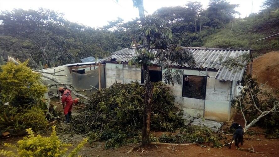 Los hechos ocurrieron cuando en la parte baja de Figueroa se produjo el fenómeno natural, causando la caída de varios árboles. Foto:
