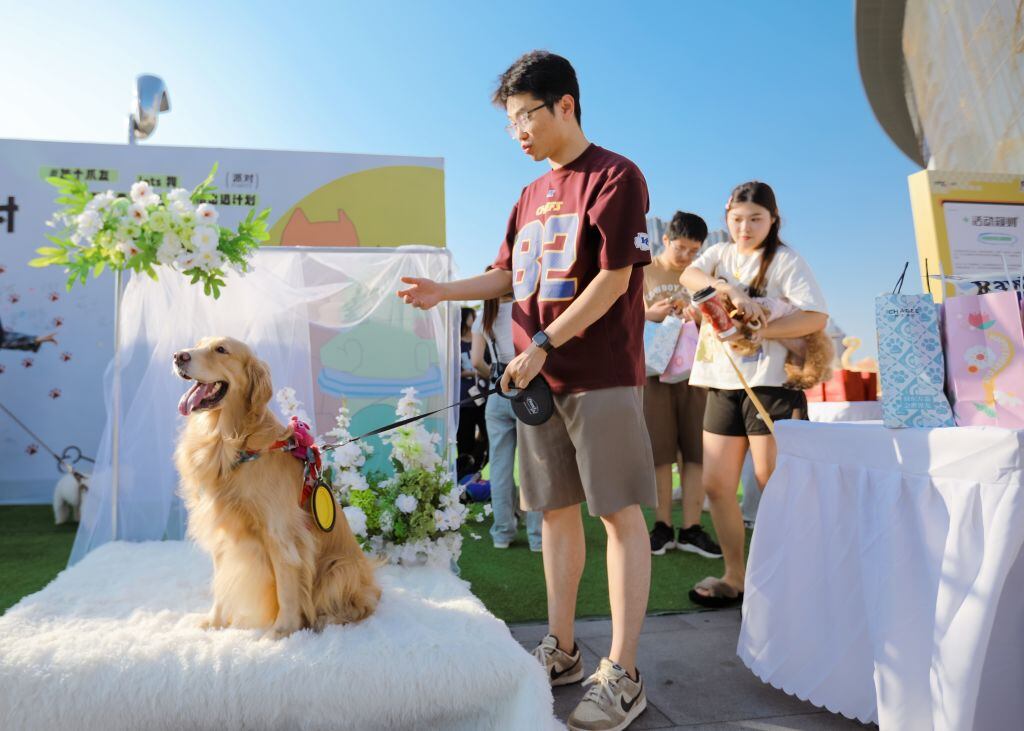 Adiestramiento canino (Photo by VCG/VCG via Getty Images)