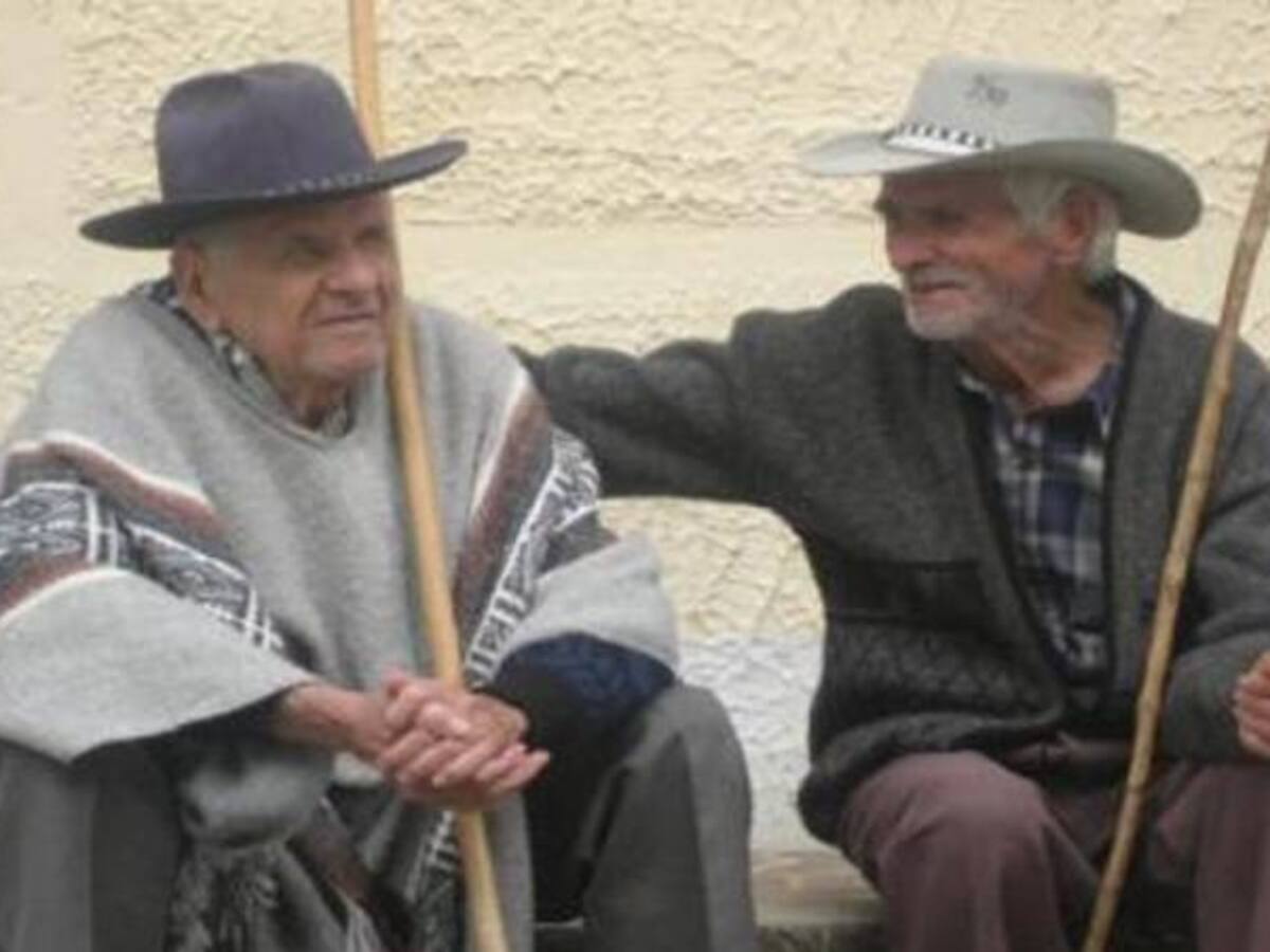 Más del 50% de los adultos mayores de 60 años están en condición de pobreza en Armenia