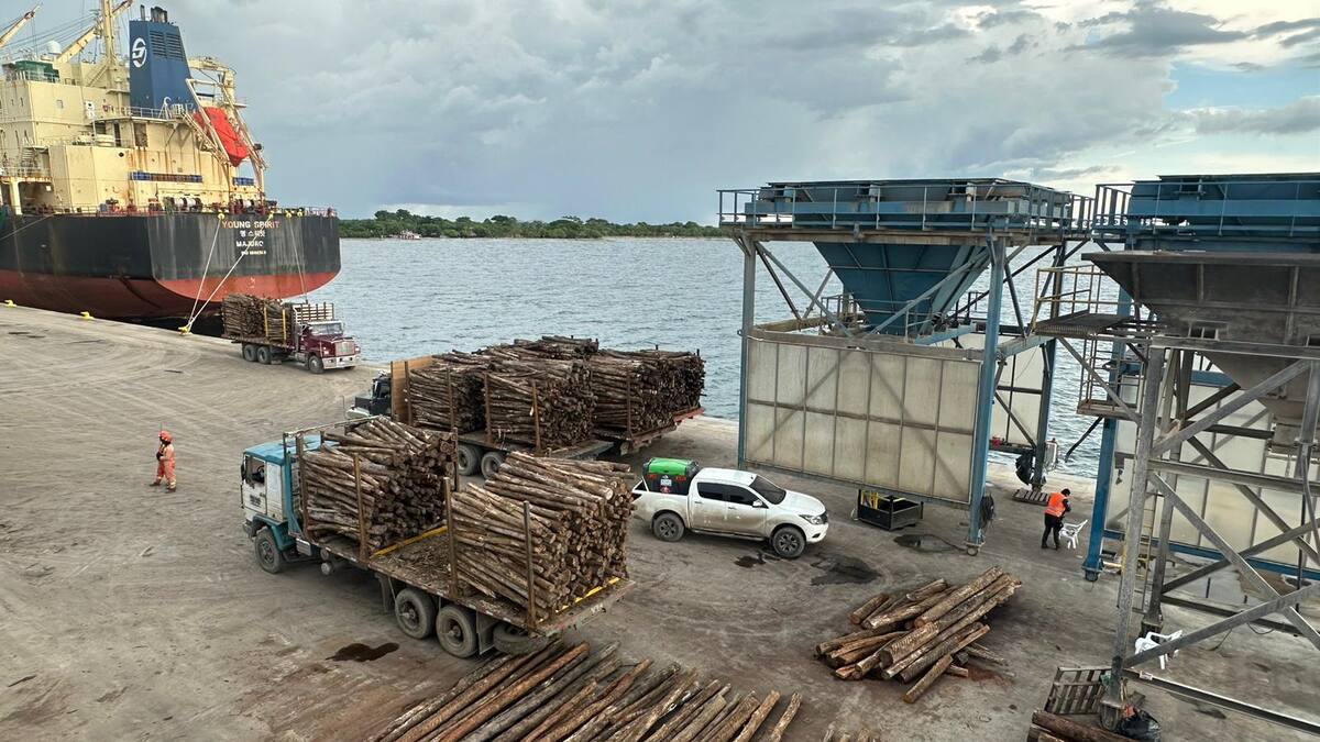 Córdoba logró la primera exportación de madera con destino a Europa