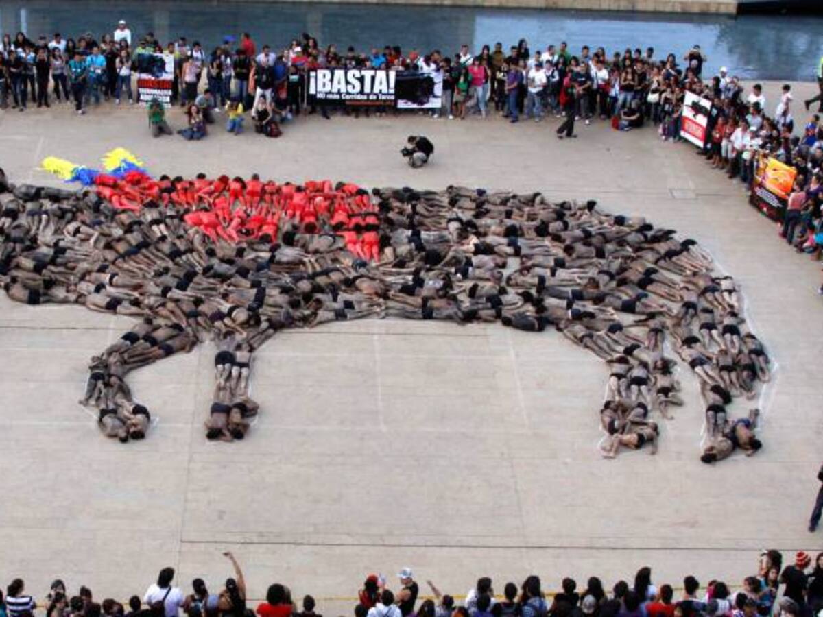 Ponencia dice que la Consulta Antitaurina sí se debe hacer