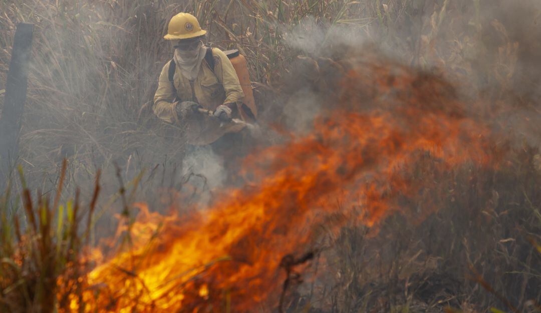 En 2020, las llamas se extendieron por el Amazonas brasileño durante más de 120 días. 