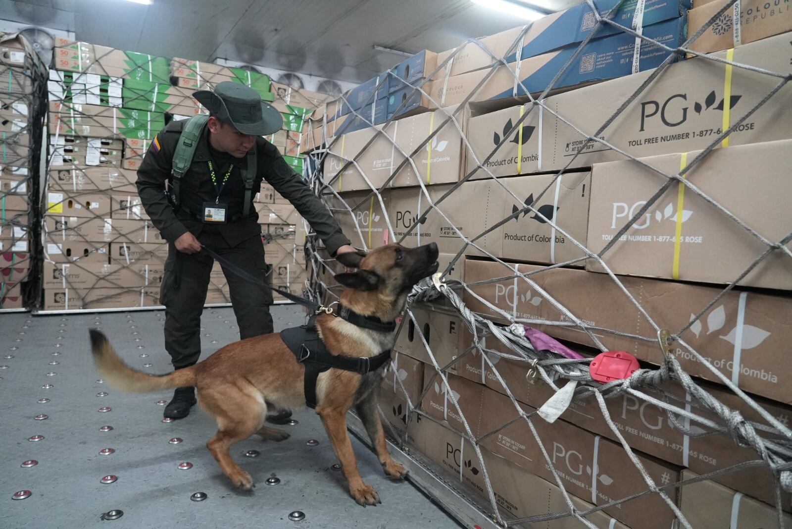 Inspección de Antinarcóticos a cargamentos de flores. Cortesía: Policía Nacional.