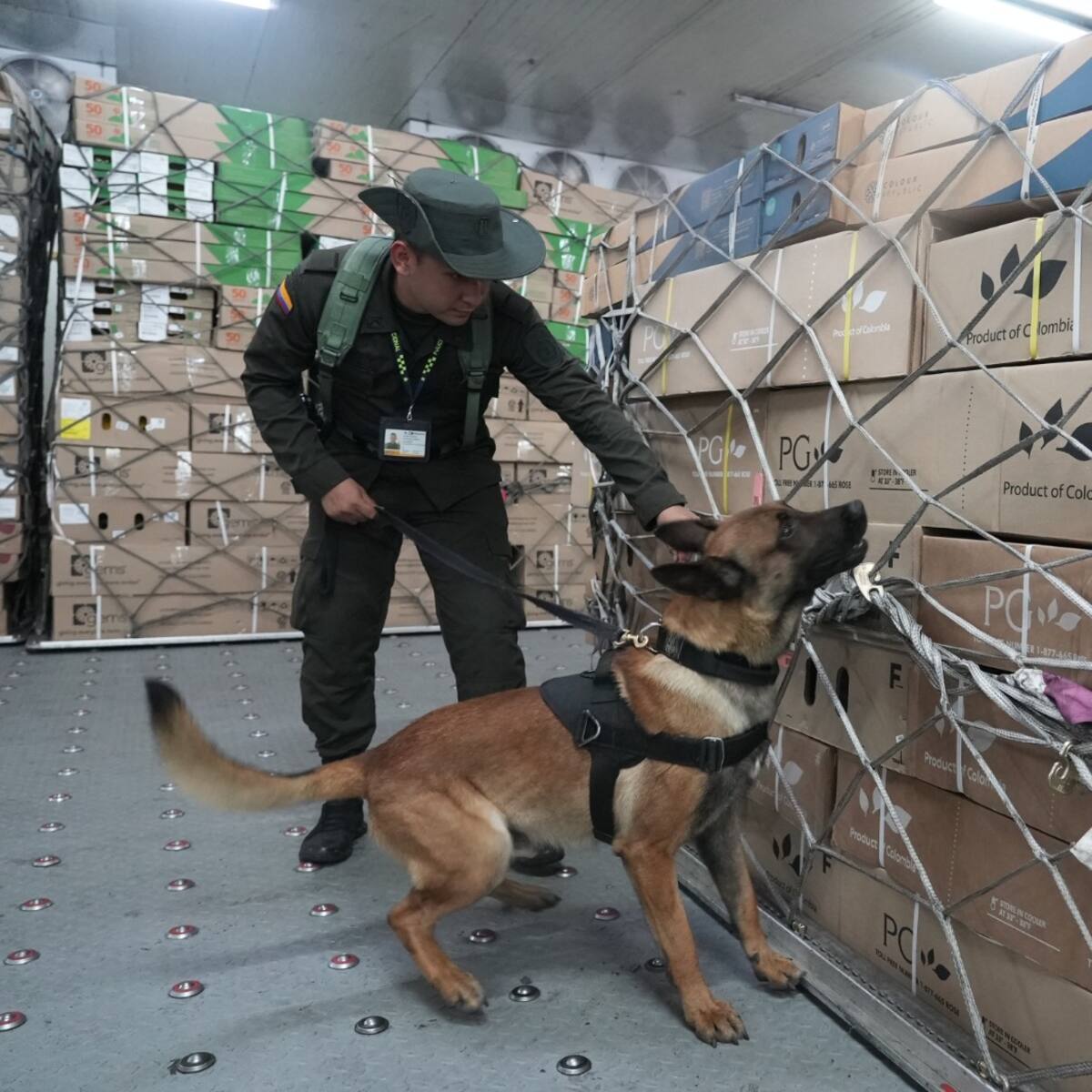 Policía ha inspeccionado 60 mil toneladas de flores de exportación para San Valentín