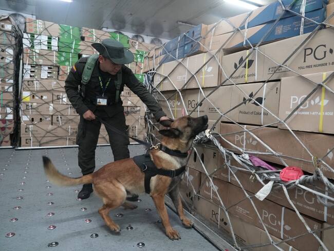 Inspección de Antinarcóticos a cargamentos de flores. Cortesía: Policía Nacional.
