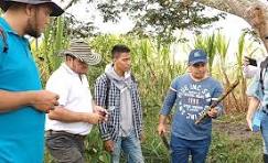 Productores campesinos a perdidas.