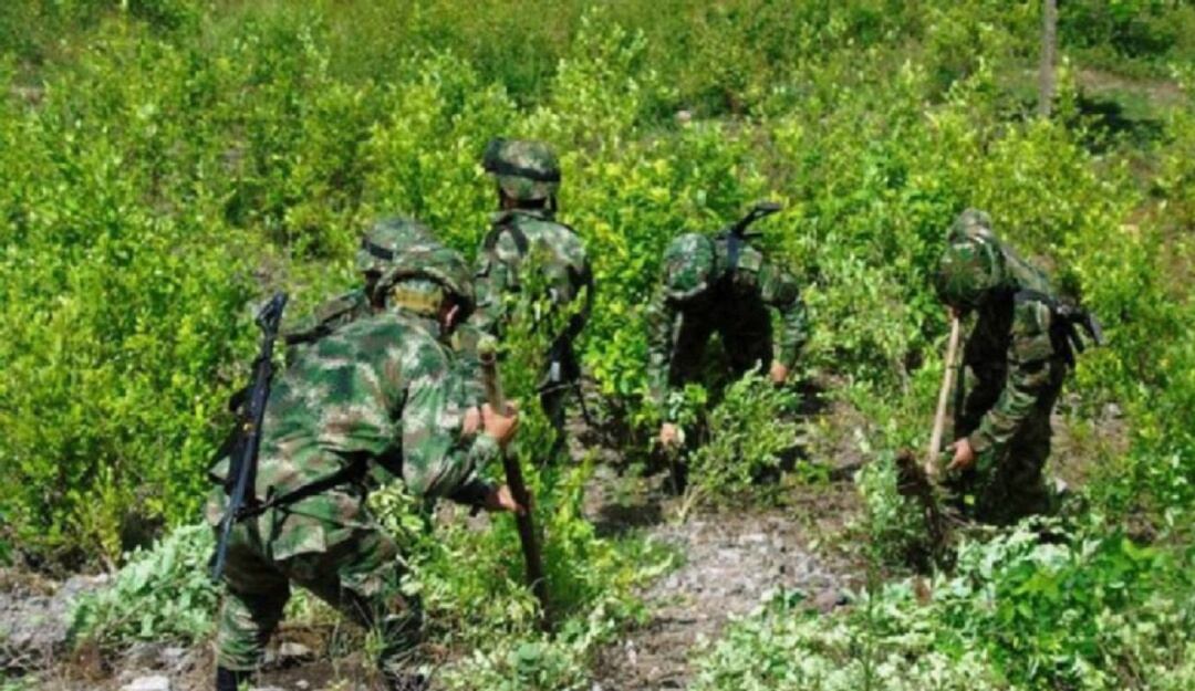 Marcha cocalera en Tibú