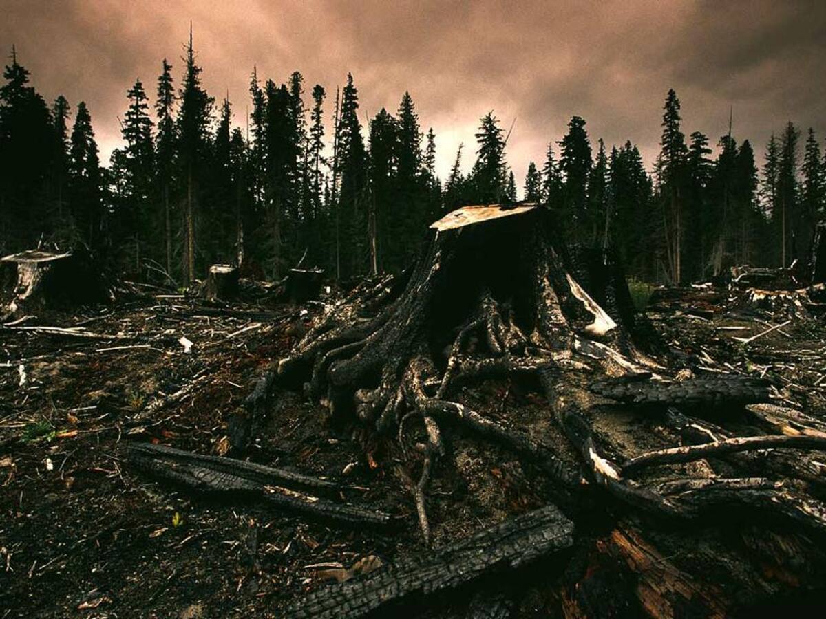 Autoridades firmaron alianza para evitar criminalidad ambiental en Antioquia