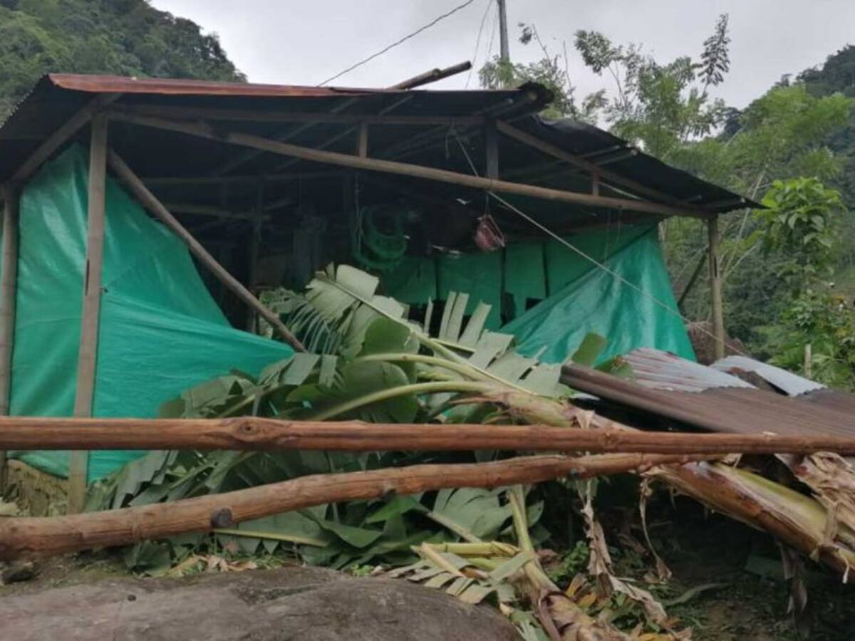 Damnificados por vendaval en Risaralda repararon sus casas con plástico