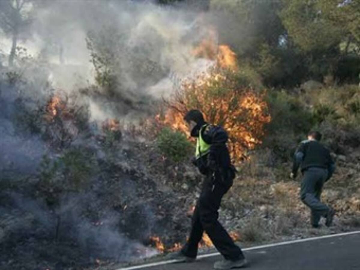 Sigue creciendo número de hectáreas afectadas por incendios