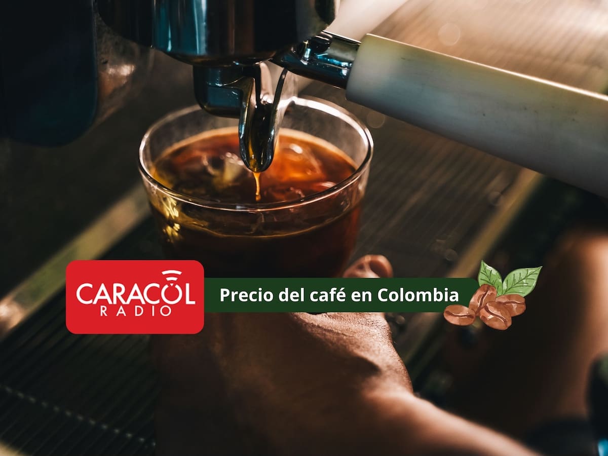 Así se cotiza el café en Colombia HOY 12 de marzo 2026: Leve aumento en los precios