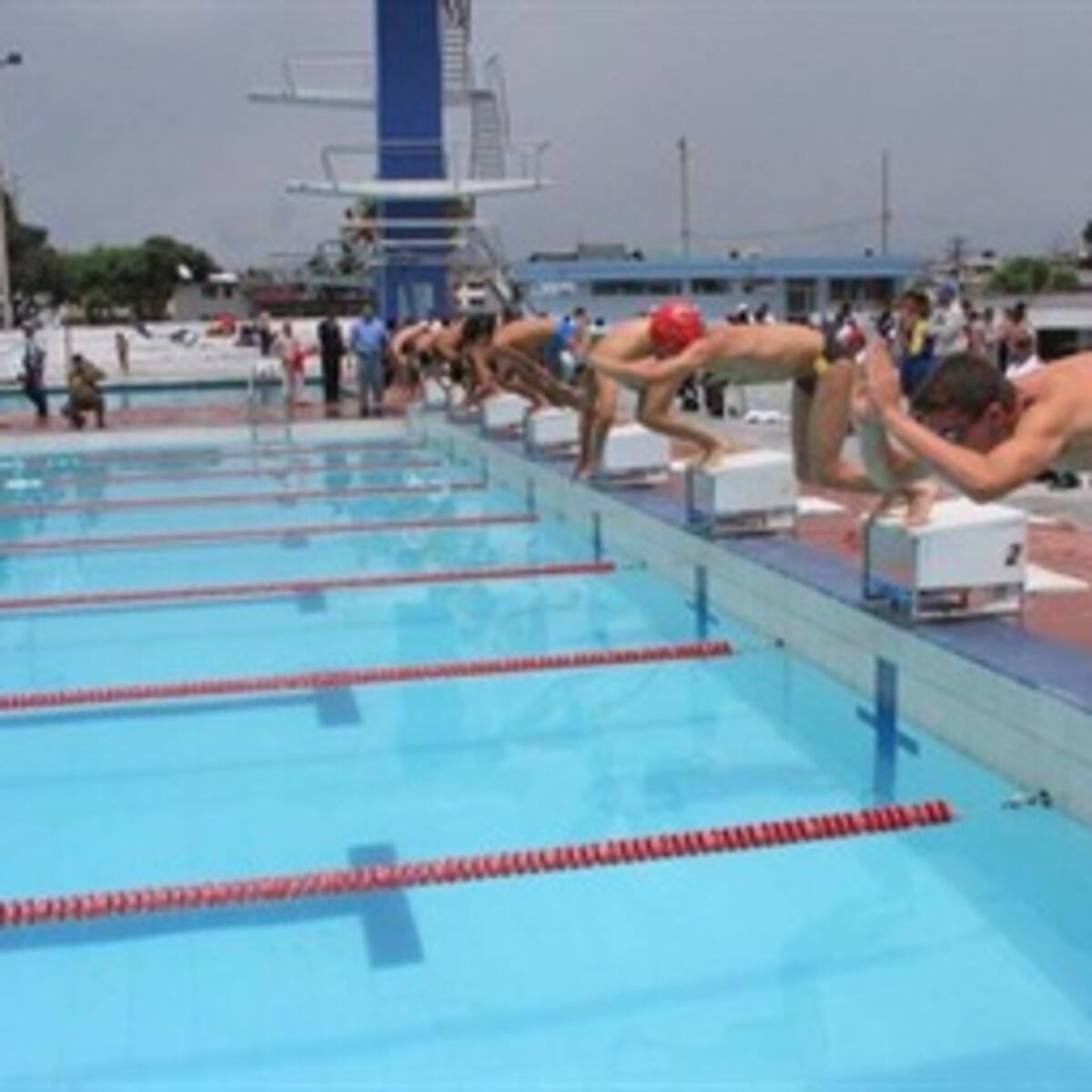 Colombia gana tres oros en Sudamericano Juvenil de Natación en Argentina