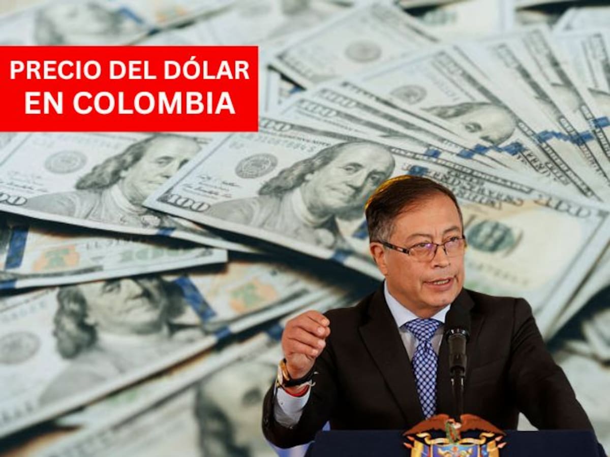 Precio del dólar en Colombia HOY 20 de enero: cotización se mantiene estable, según el Banrep