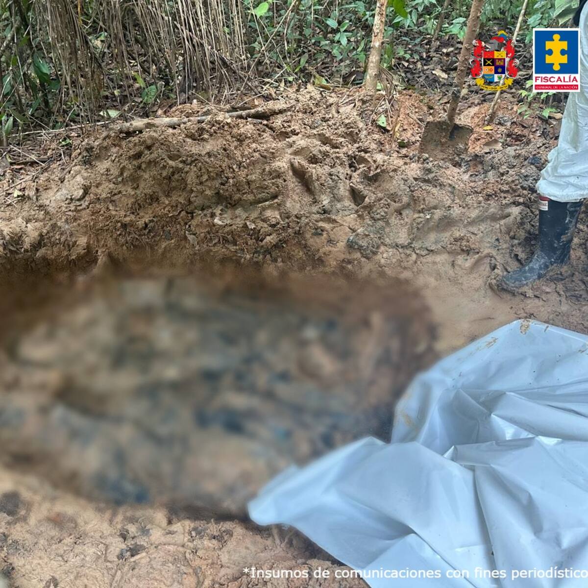 Fiscalía halló fosa común con 8 cuerpos en Guaviare: serían víctimas de disidencias de Iván Mordisco