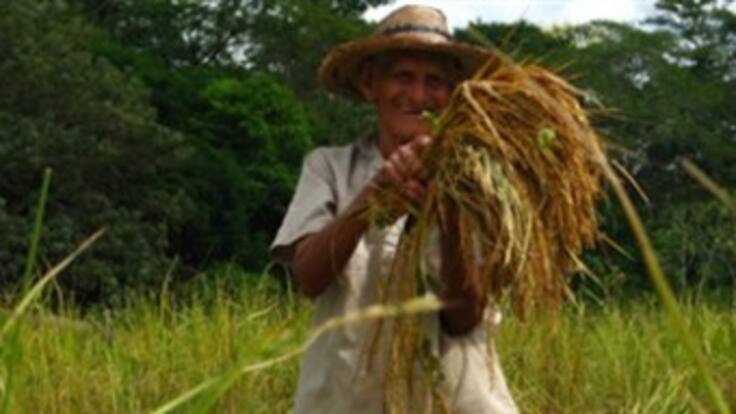 Descubren primeras resoluciones falsas para titulación de tierras en Urabá