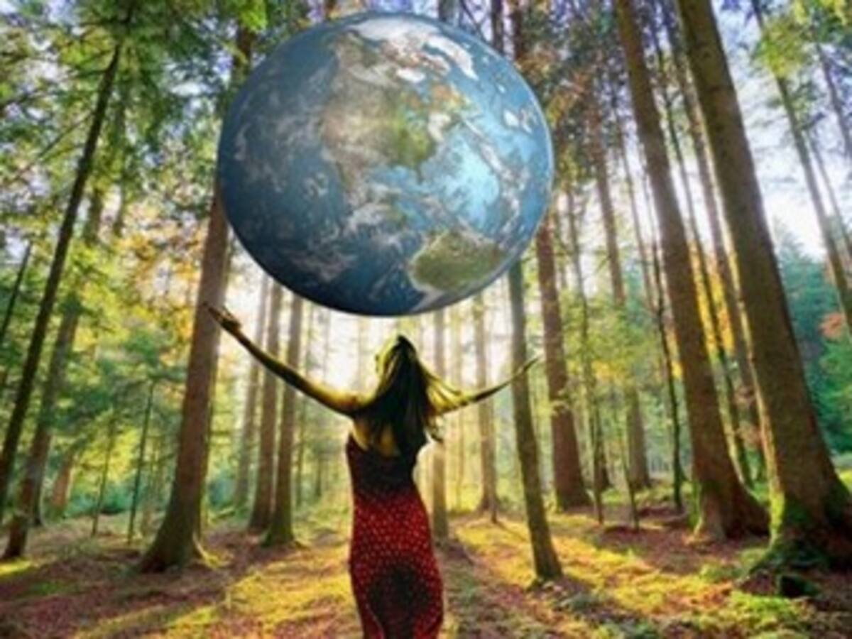 Ecología urbana que apunta a la recuperación ambiental