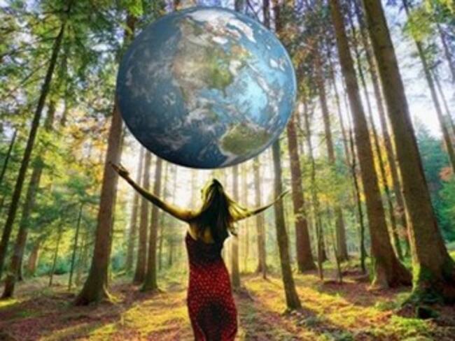 Ecología urbana que apunta a la recuperación ambiental